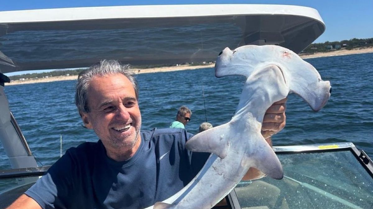 Imagen noticia completa