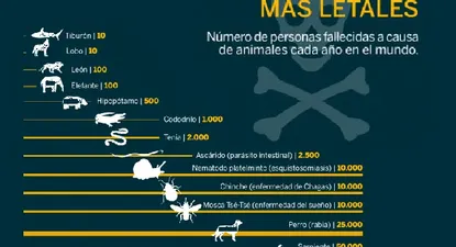 El Observador | 0000314608.webp