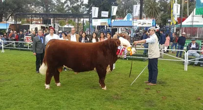 colocacion de reproductores  en la expo prado descendio 27%