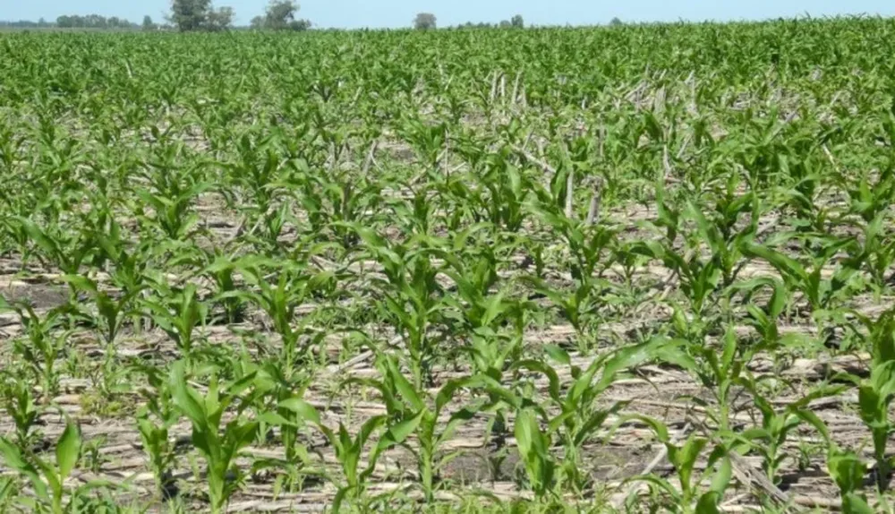 Será necesario monitorear la posibilidad de que ocurra una fase Niña a partir de este invierno, dice Sierra