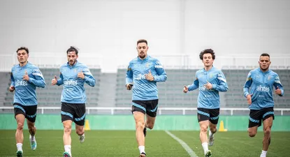 La celeste en Japón