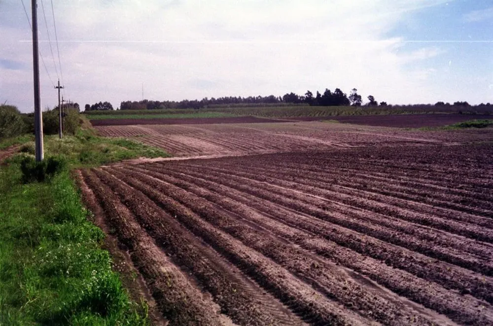 La recepción de planes de uso y manejo de suelos comprende a la agricultura y la lechería