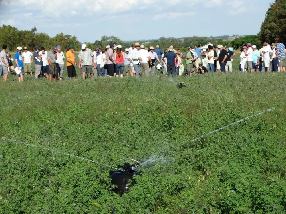 Instalar un cultivo forrajero está demandando una inversión algo menor..