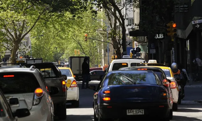 Sucive pidió a intendencias entregar información sobre casos de exoneración