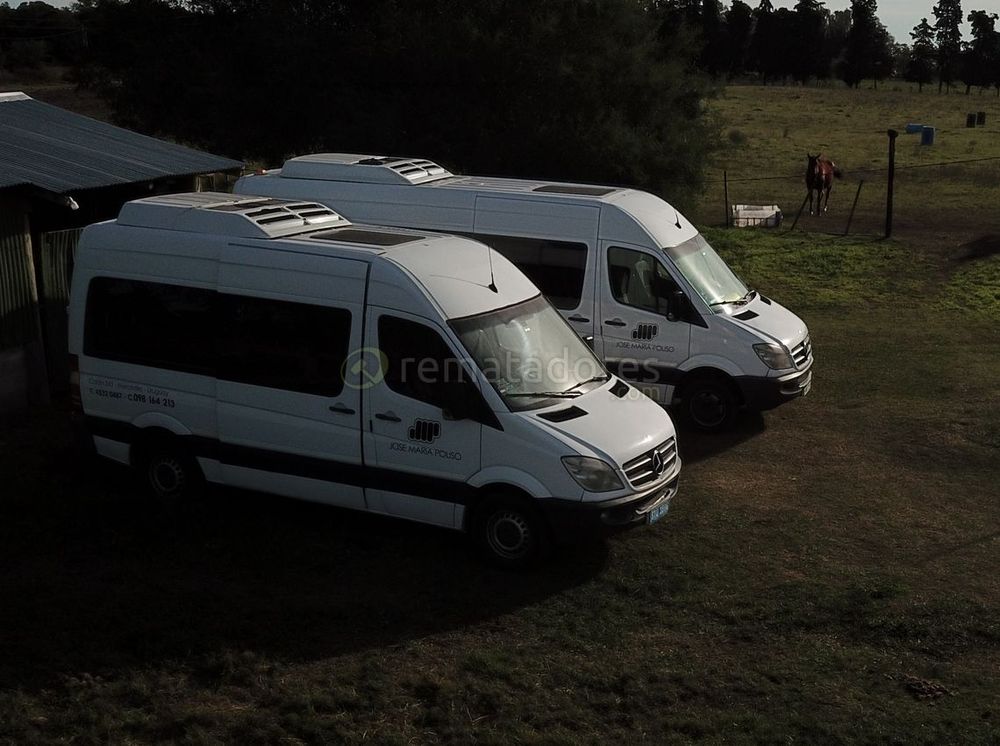 Borrazás remata dos minibuses Mercedes Benz.&nbsp;