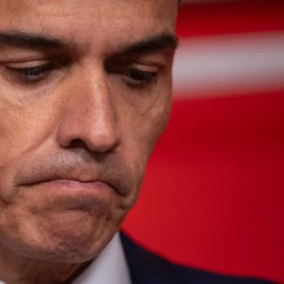Pedro Sánchez