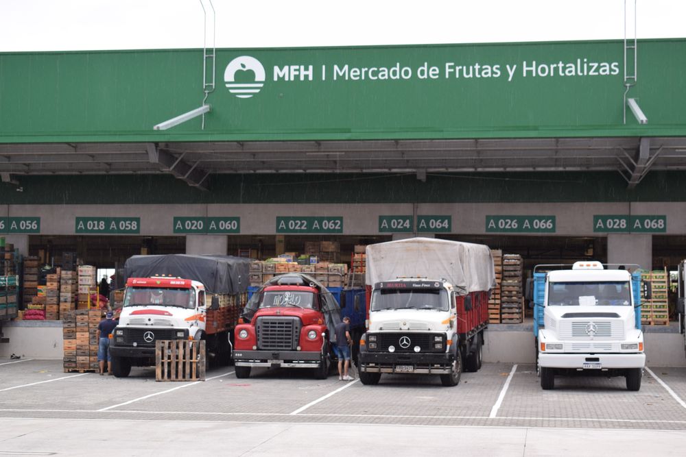 Frutas y verduras: nueva lista de productos recomendados desde la UAM.