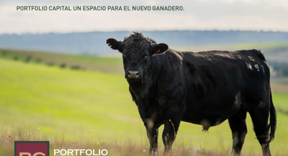Portfolio Capital