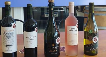 Inavi: los vinos que representarán a Uruguay durante 2025.