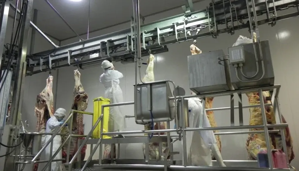 La carne de vacuno es casi el 83% de lo exportado