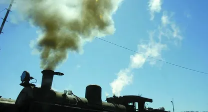 AFE se quedó sin el transporte de la celulosa de UPM