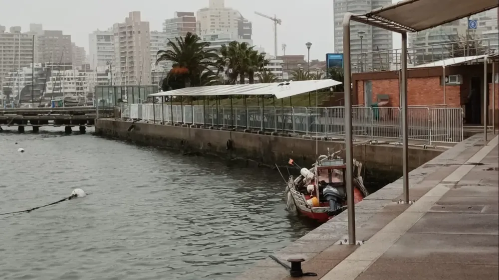Puerto de Punta del Este cercado.