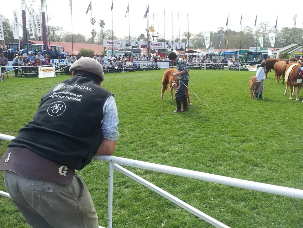 Siempre se plantean dilemas a la hora de seleccionar