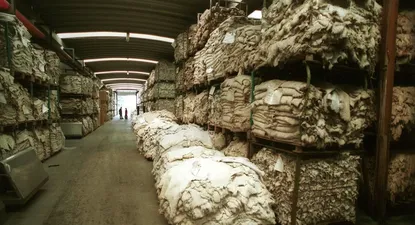 El núcleo industrial cayó en enero, pero menos que el cierre de 2018