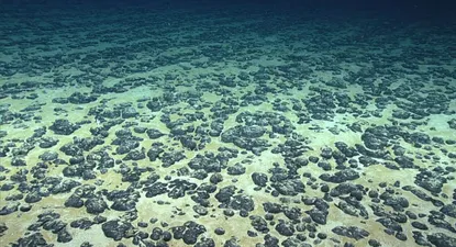 Se abre la posibilidad de la explotación de los fondos marinos