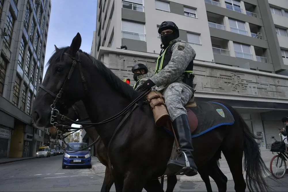 Plataforma Animalista pide que dejen de usar caballos en operativos