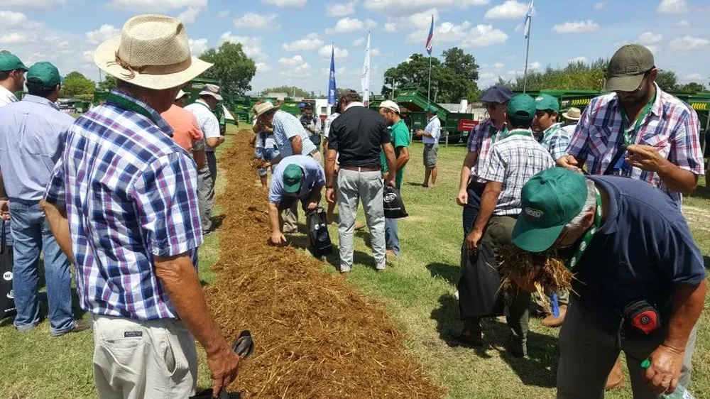 Un gran número de productores, la mayoría tamberos, controló la comida.