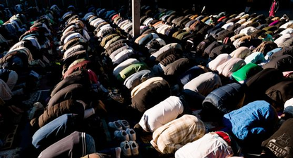 El Observador | image