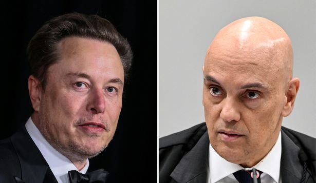 Guía para entender el escándalo de Elon Musk y Brasil por la red social X: entre las fake news y la libertad de expresión