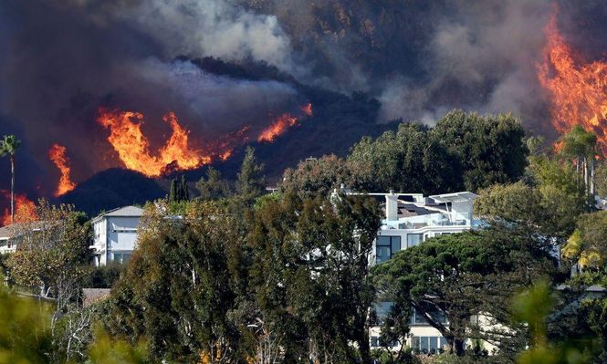 Muchas viviendas están rodeadas de vegetación, lo cual las expone a los incendios forestales.