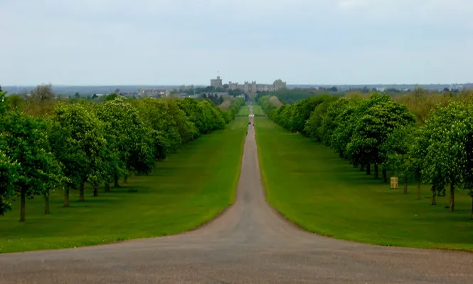 Los viñedos de la Reina