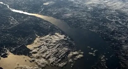 El Observador | 0000338147.webp