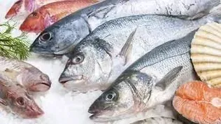 España ofrece múltiples opciones de pescados.