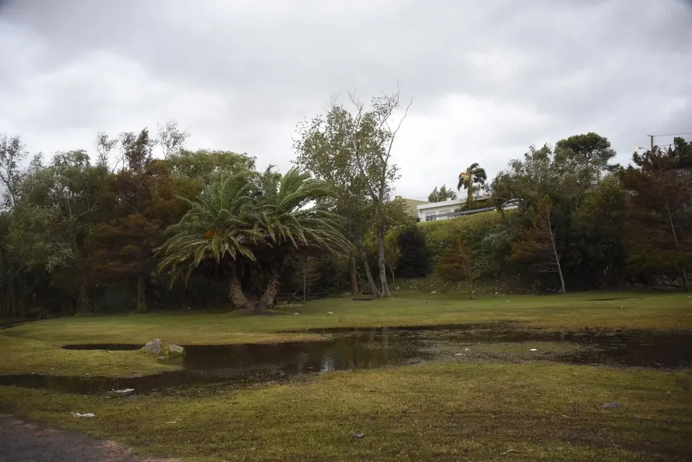 Foto de archivo. El tiempo mejorará hacia la tarde de este domingo