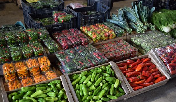 Lista Inteligente: ajíes, uno de los rubros, en venta en la UAM.