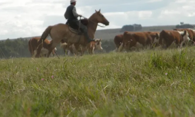 Suprema Corte confirmó que el ICIR es inconstitucional