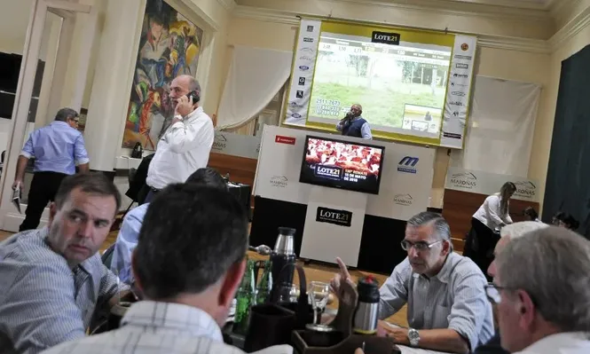 Lote 21 cerró su remate 130° con valores al alza