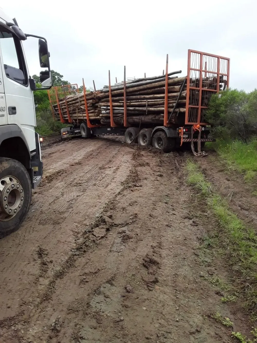 El intendente Nicolás Olivera compartió la foto de la carga atravesando el camino y calificó el acto como criminal