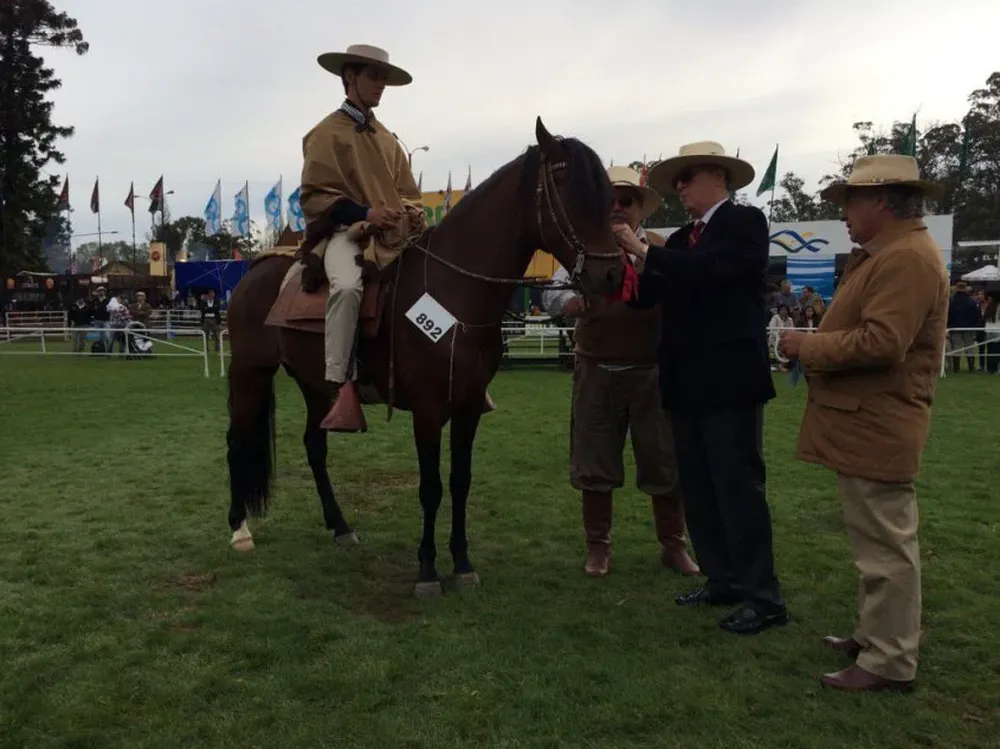 El embajador de Perú en Uruguay, coronando al Gran Campeón de la raza Peruano de Paso