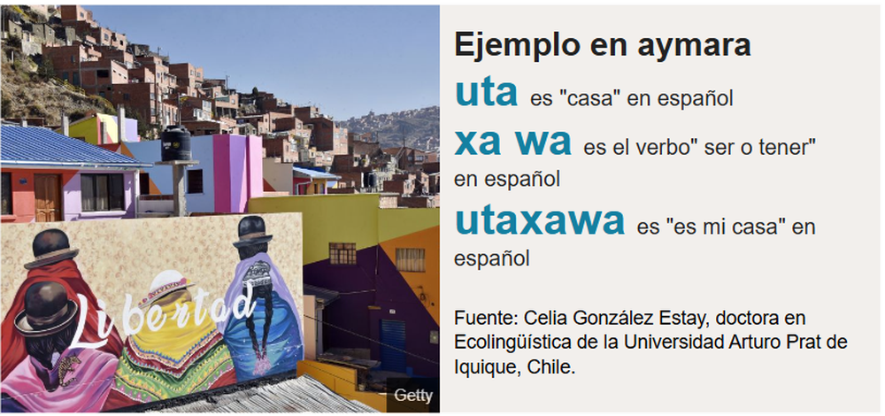 https://www.bbc.com/mundo/articles/ckgl2py64k3o