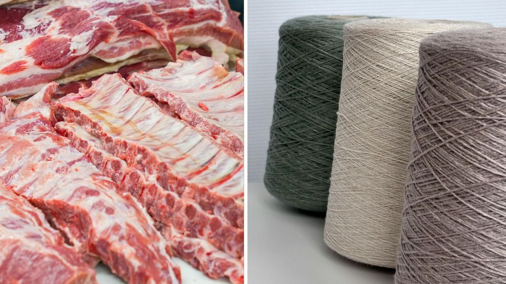 Exportaciones de carne ovina y lanas con mejores indicadores.