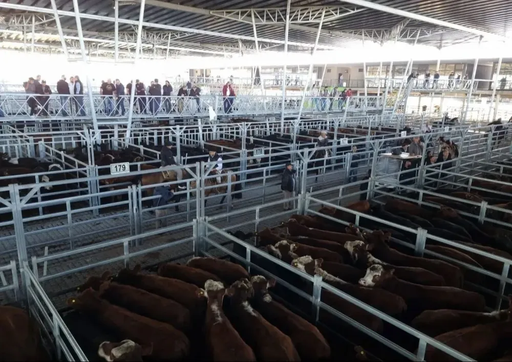 Mercado de Cañuelas