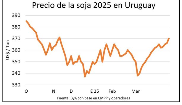 El mercado de soja domina la atención de agricultores y operadores de granos en Uruguay: así están las cosas