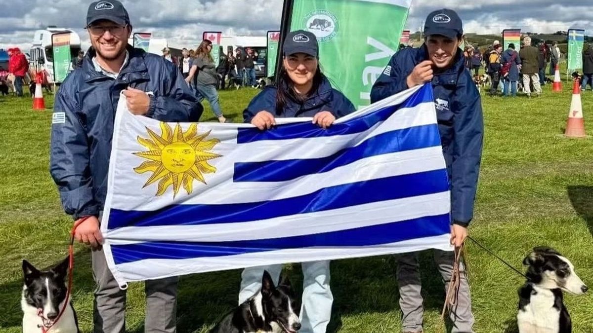 Batacazo celeste en el Mundial de Perros de Pastoreo: dos semifinalistas y un subcampeón del mundo