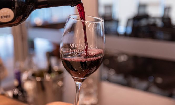 Inavi: lanzamiento de los actos conmemorativos de los 150 años de la viña y el vino en Uruguay.