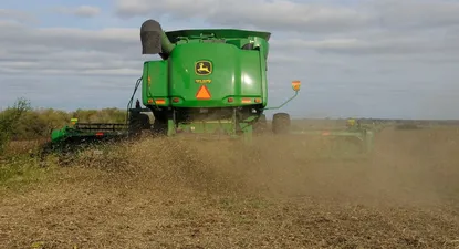 Cómo los restos de soja o cáscara de arroz pueden producir plásticos, cera o nylon