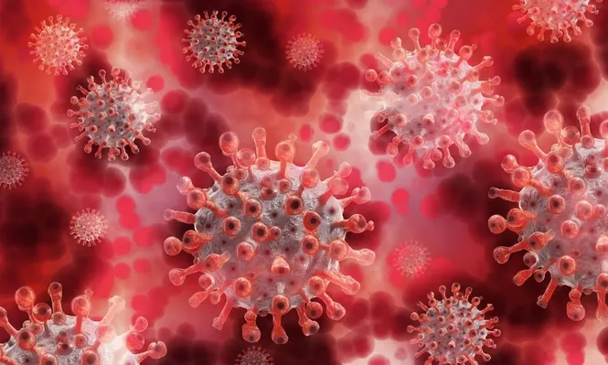 Coronavirus