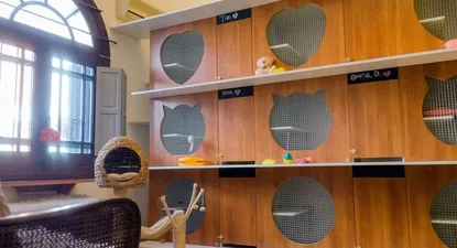 Yellow, el hotel para gatos, crece y apunta a consolidarse