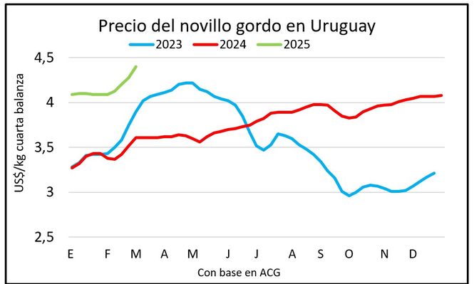 Ganado gordo: precios tonificados en Uruguay.