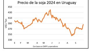 Mercado de granos, por Blasina y Asociados.