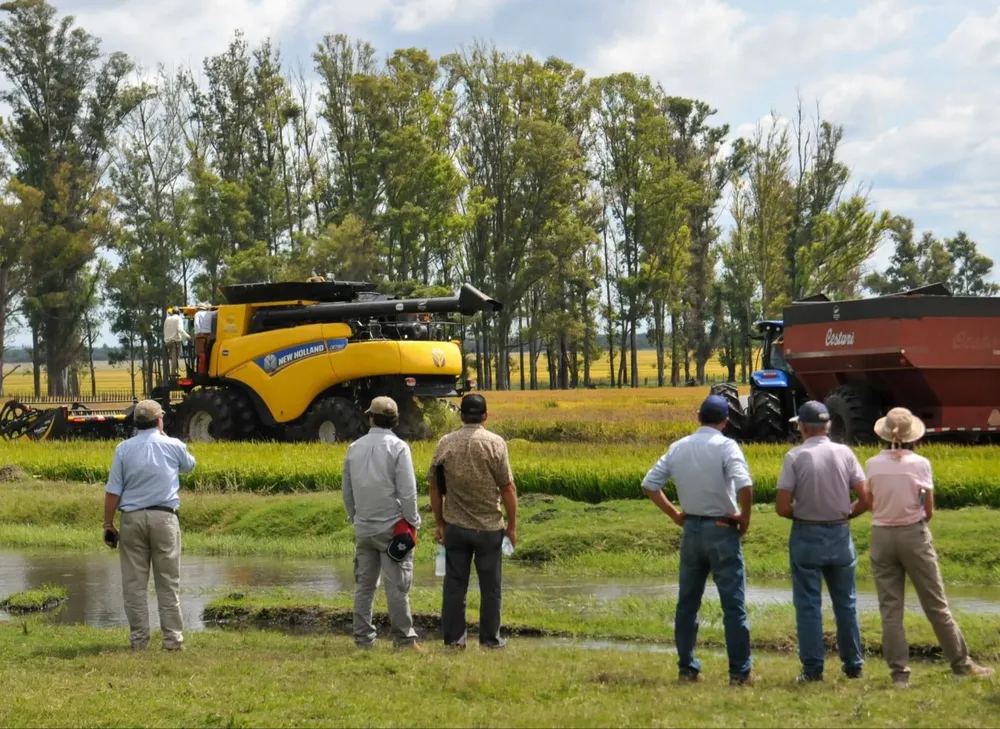 Inauguración de la cosecha de arroz.