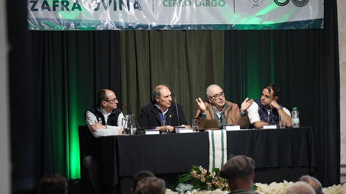 Lanzamiento de la zafra ovina: una baja en la esquila y los dólares que cada ovino genera por exportaciones