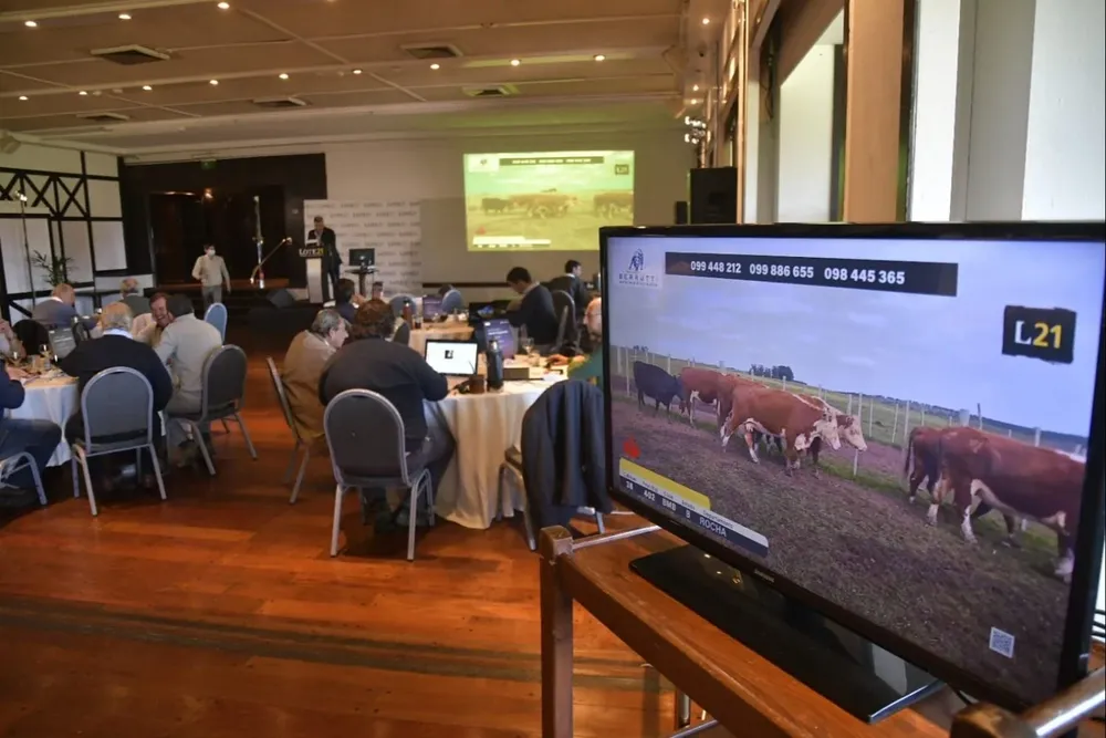 Lote 21 rematará nuevamente el 9 y 10 de noviembre.