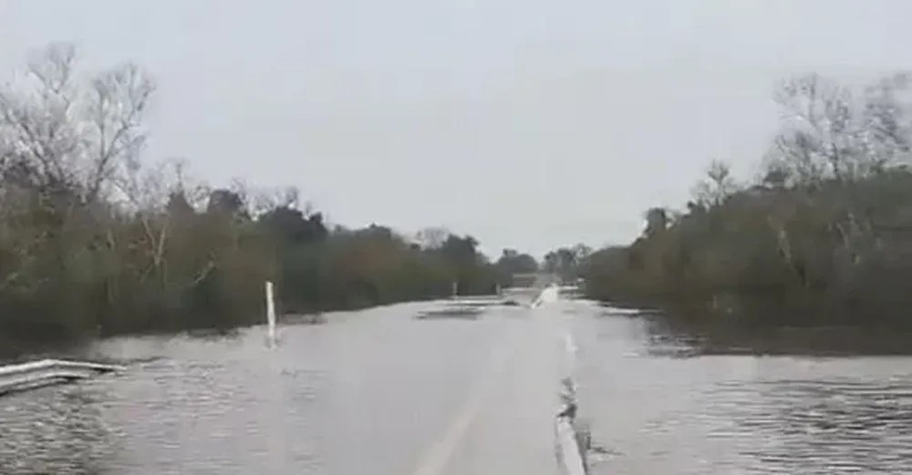 Captura de pantalla del video compartido por Bayardi
