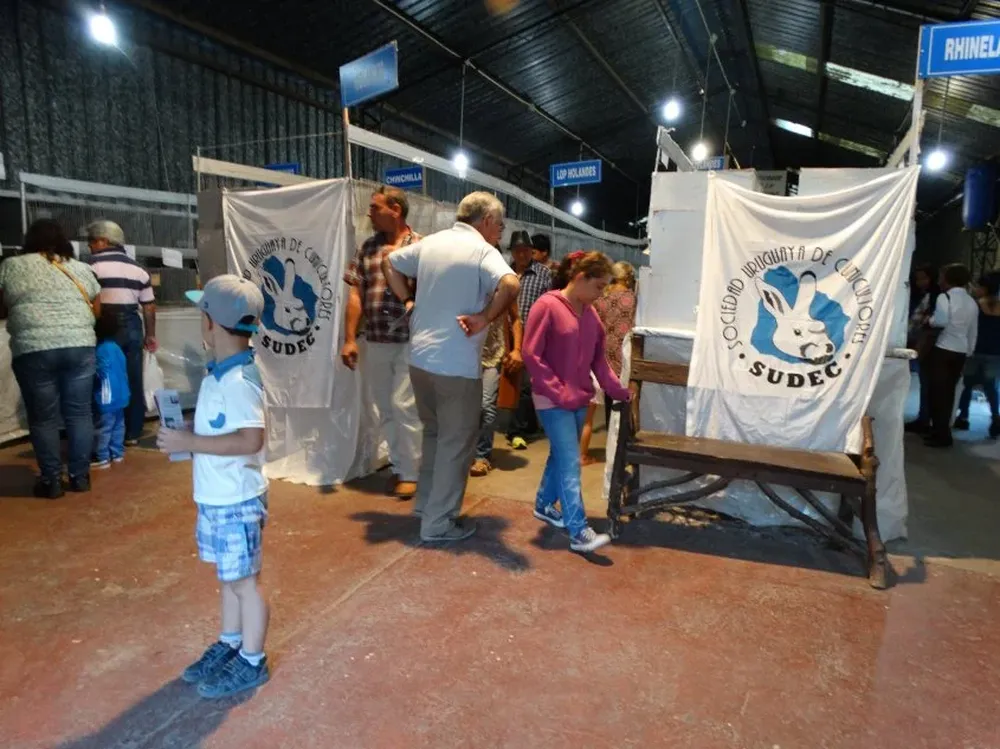 La muestra de los cunicultores se podrá visitar hasta la hora 19 de este domingo 27.