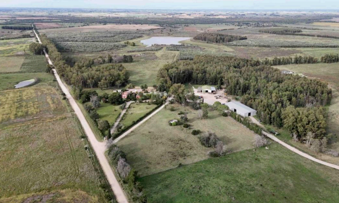 Colonización reiterará el gasto y mantendrá la compra de la estancia María Dolores en Florida